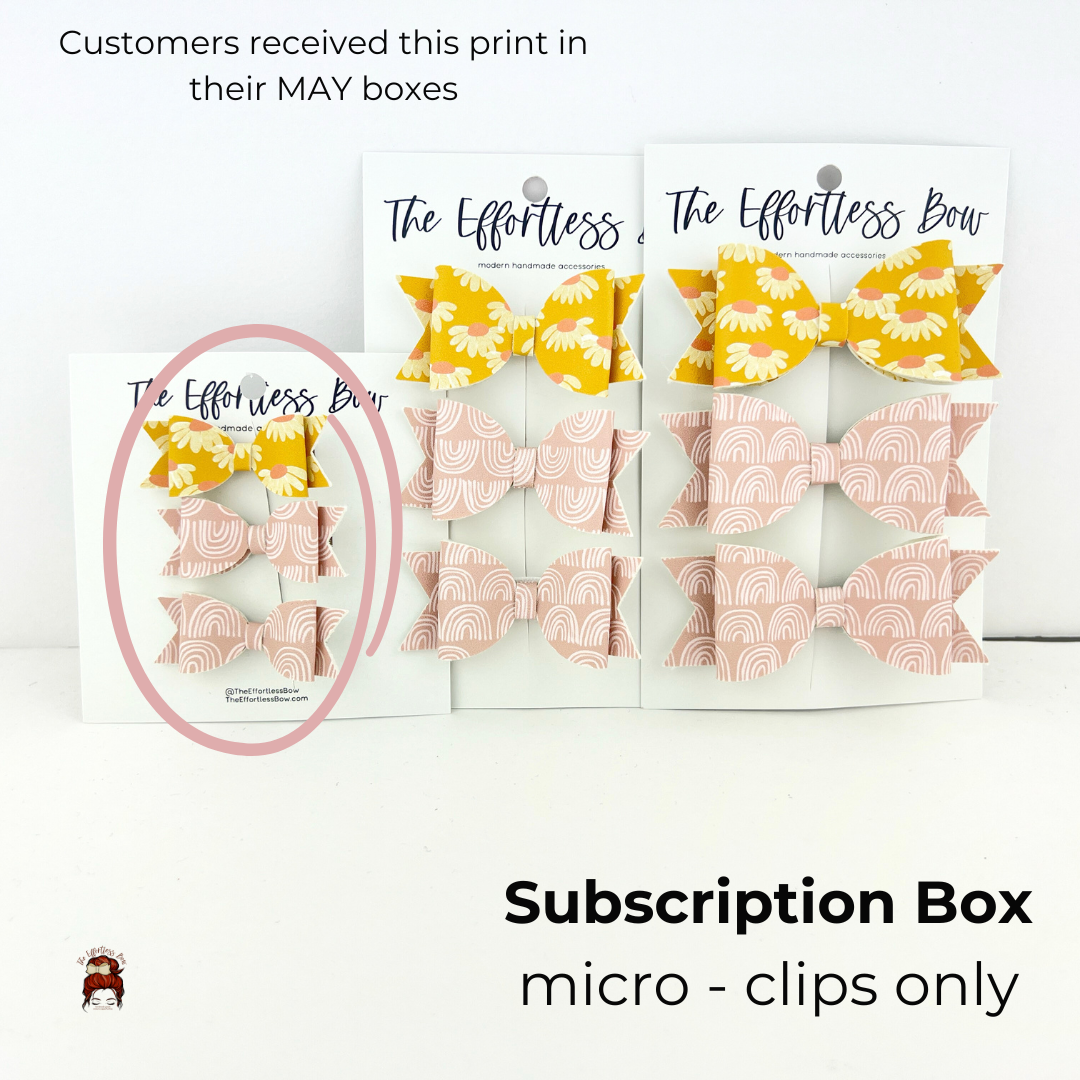 Micro Clips Monthly-SUBSCRIPTION Box