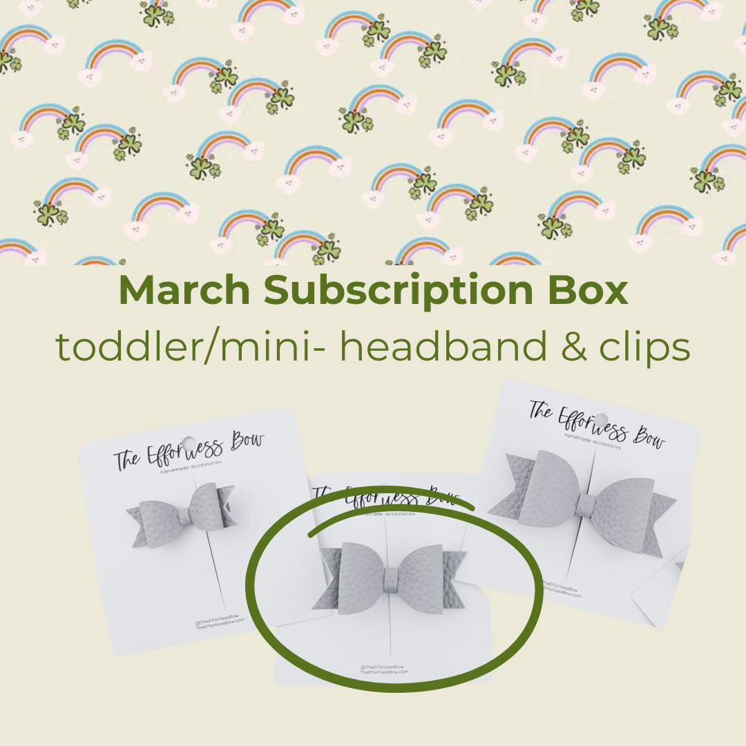Toddler (Mini Bows) Monthly- SUBSCRIPTION Box
