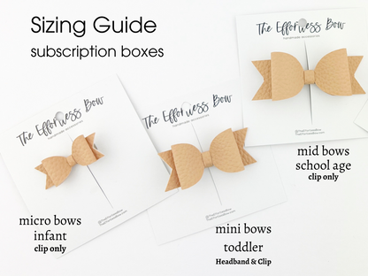 Toddler Monthly- SUBSCRIPTION Box (Mini Bows)